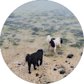 Martha Bottomore profile picture